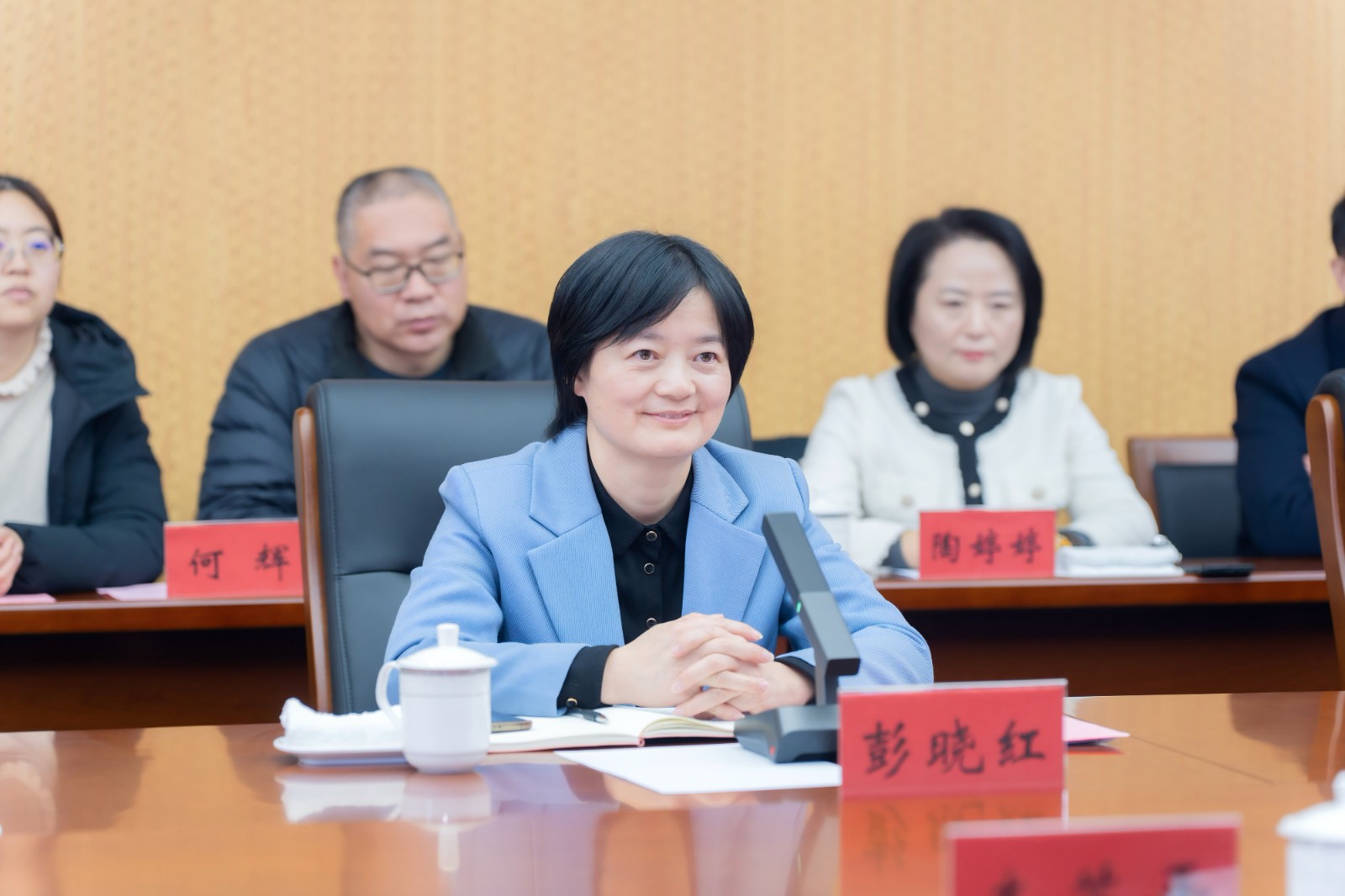 座谈-彭晓红.jpg 座谈-彭晓红.jpg